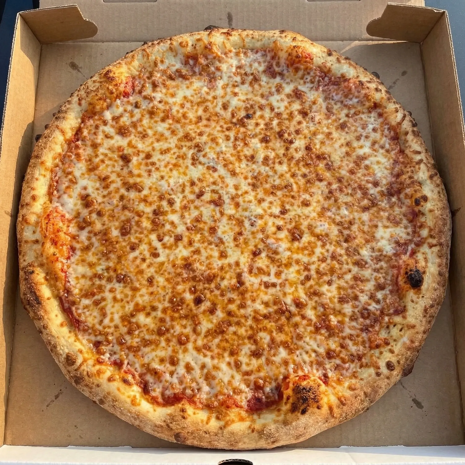 Chicken pizza at Haydar Pasha Pizza, Winnipeg